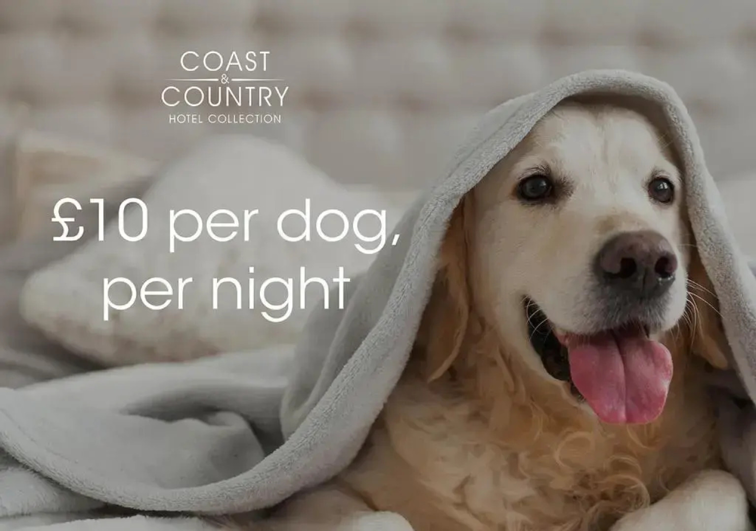 The Broadway Park Hotel