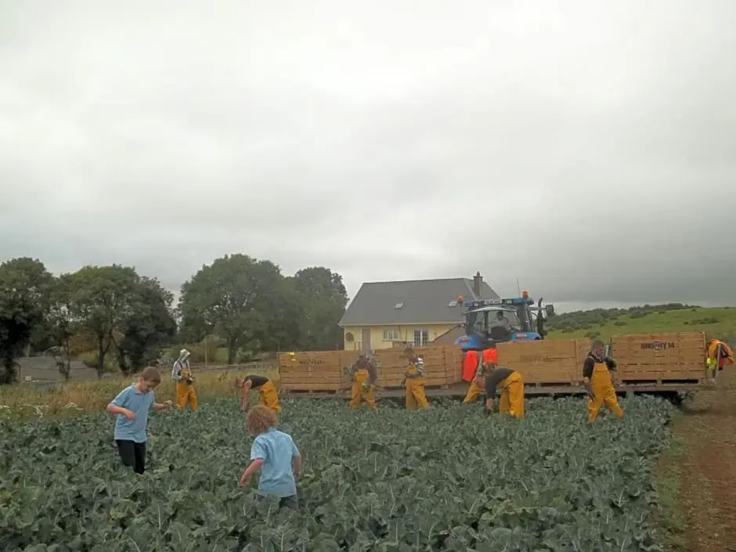 The Curragh Country House Accommodation