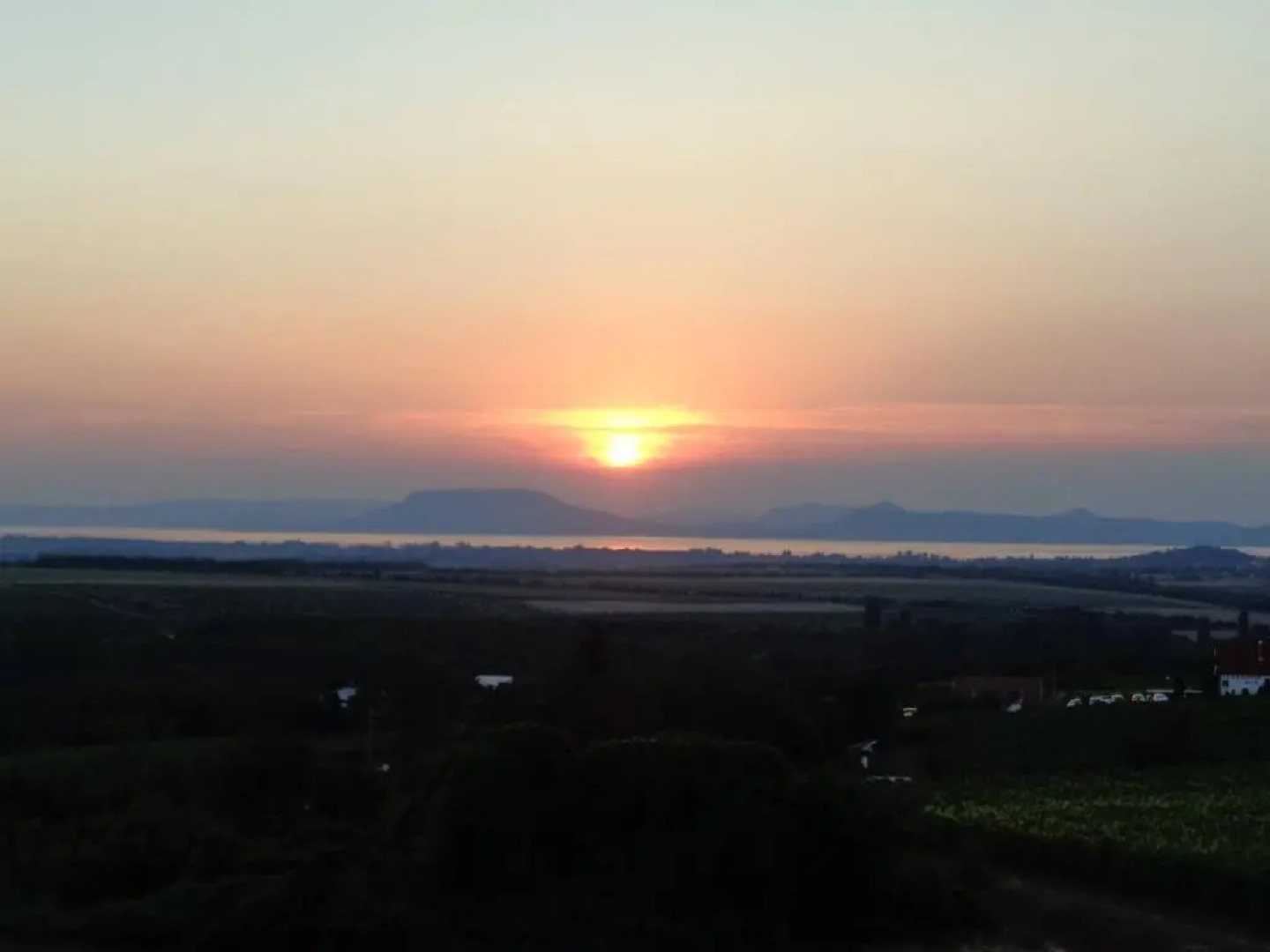 Bamboo Wellness Apartment