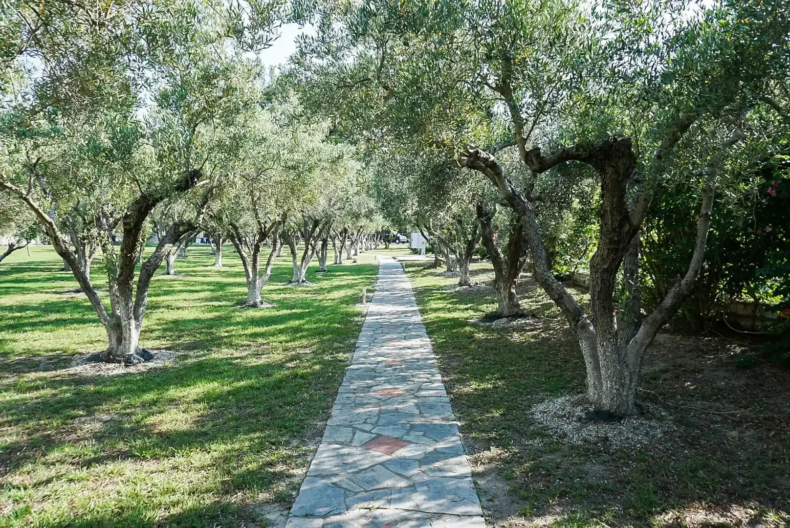 Seafront Villa Glaros