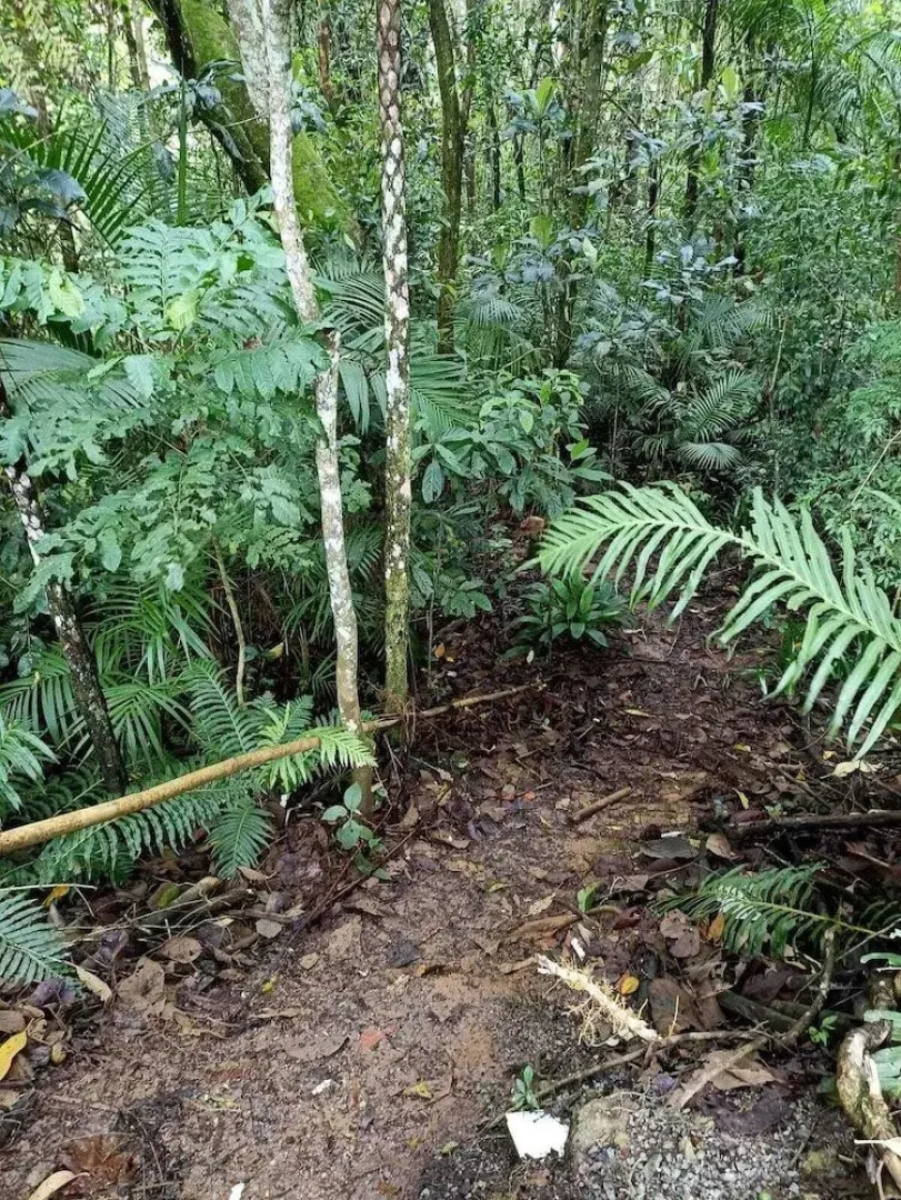 Pesqueiro e Pousada Rota do Sol