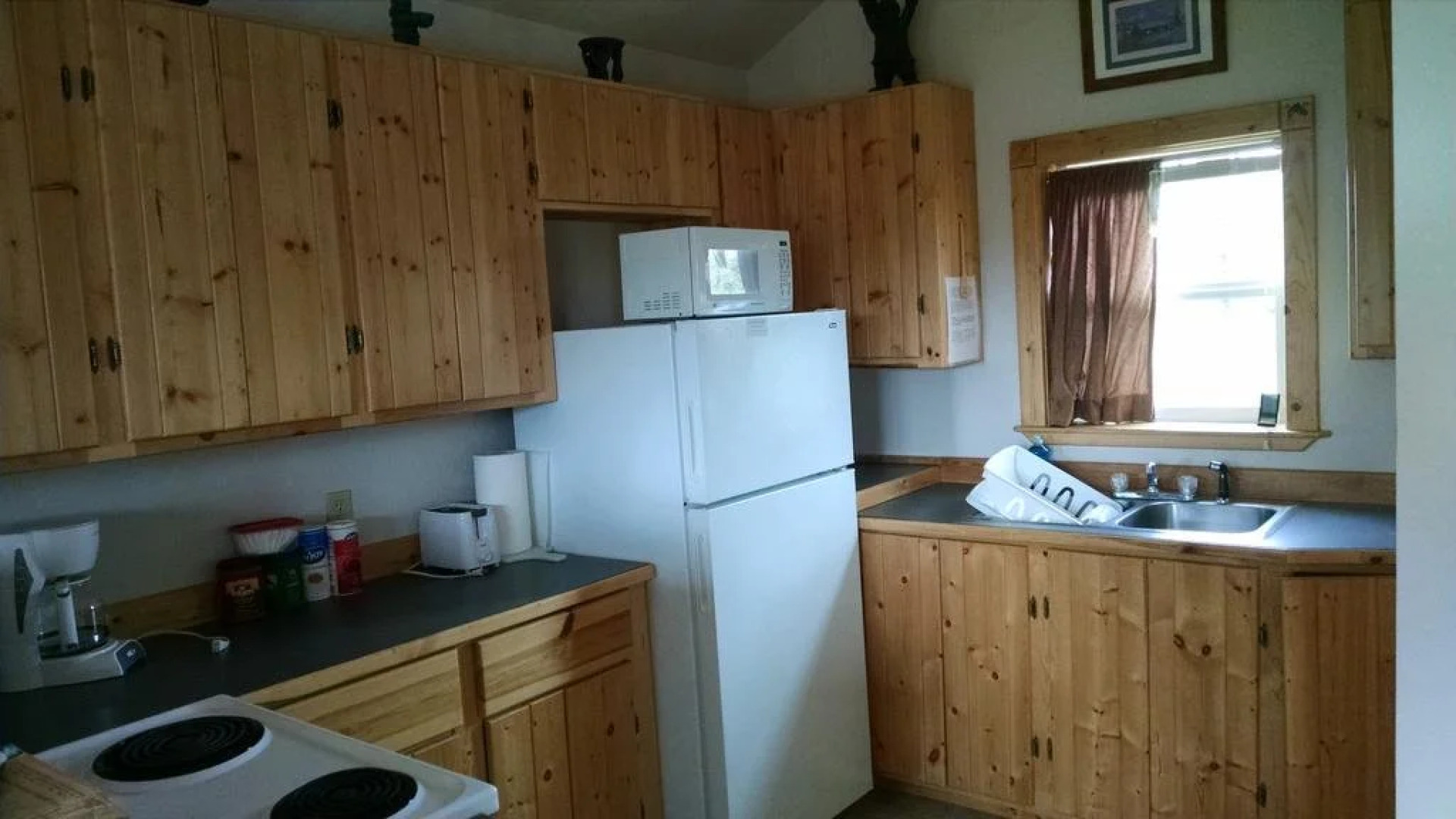 Denali'S Alaskan Spruce Cabins