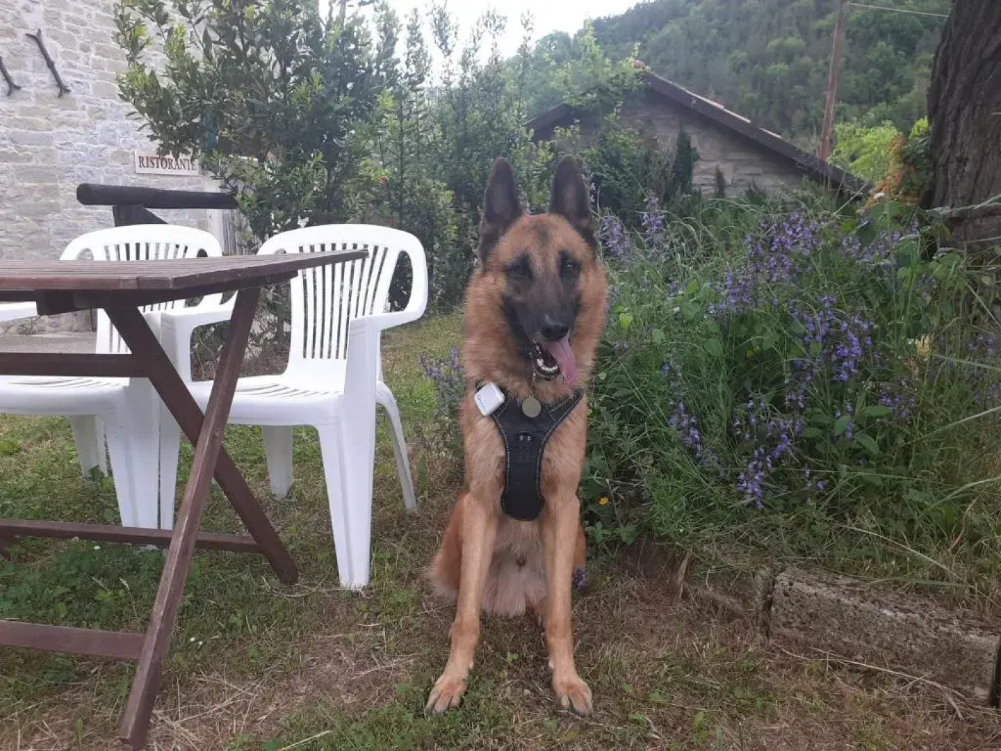 Agriturismo Campo Rosso