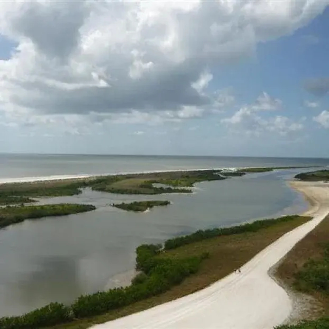 South Seas on the Gulf