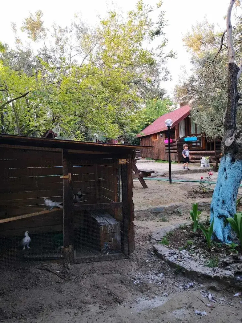 ZeytinDagi Bungalow Butik Otel