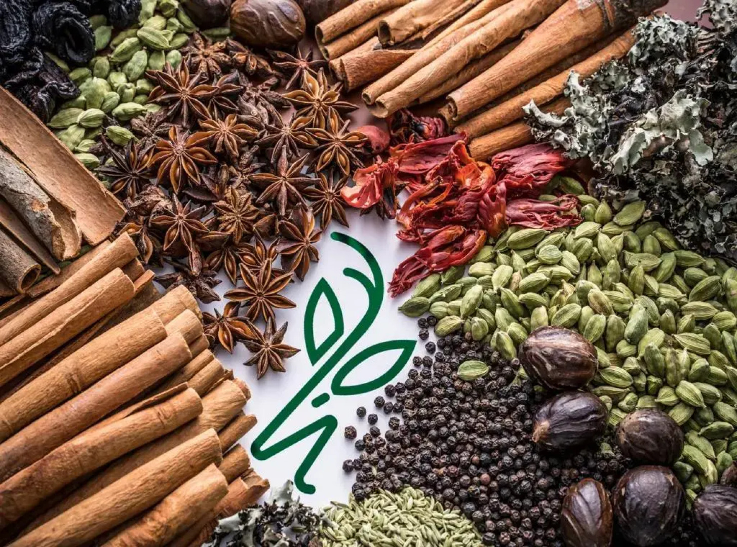 Wild Avenue Resort & Spa