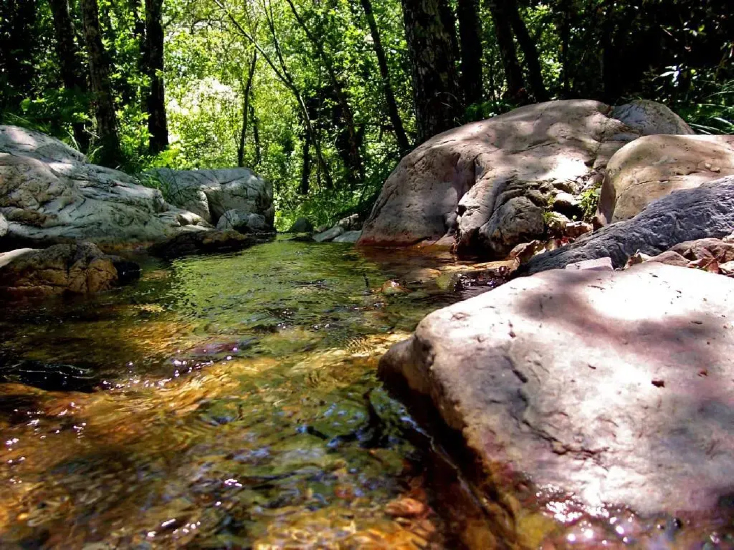 Apartamento La Muralla