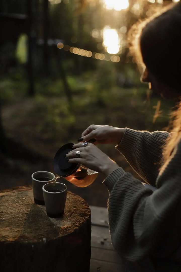 Вили Улей Карелия