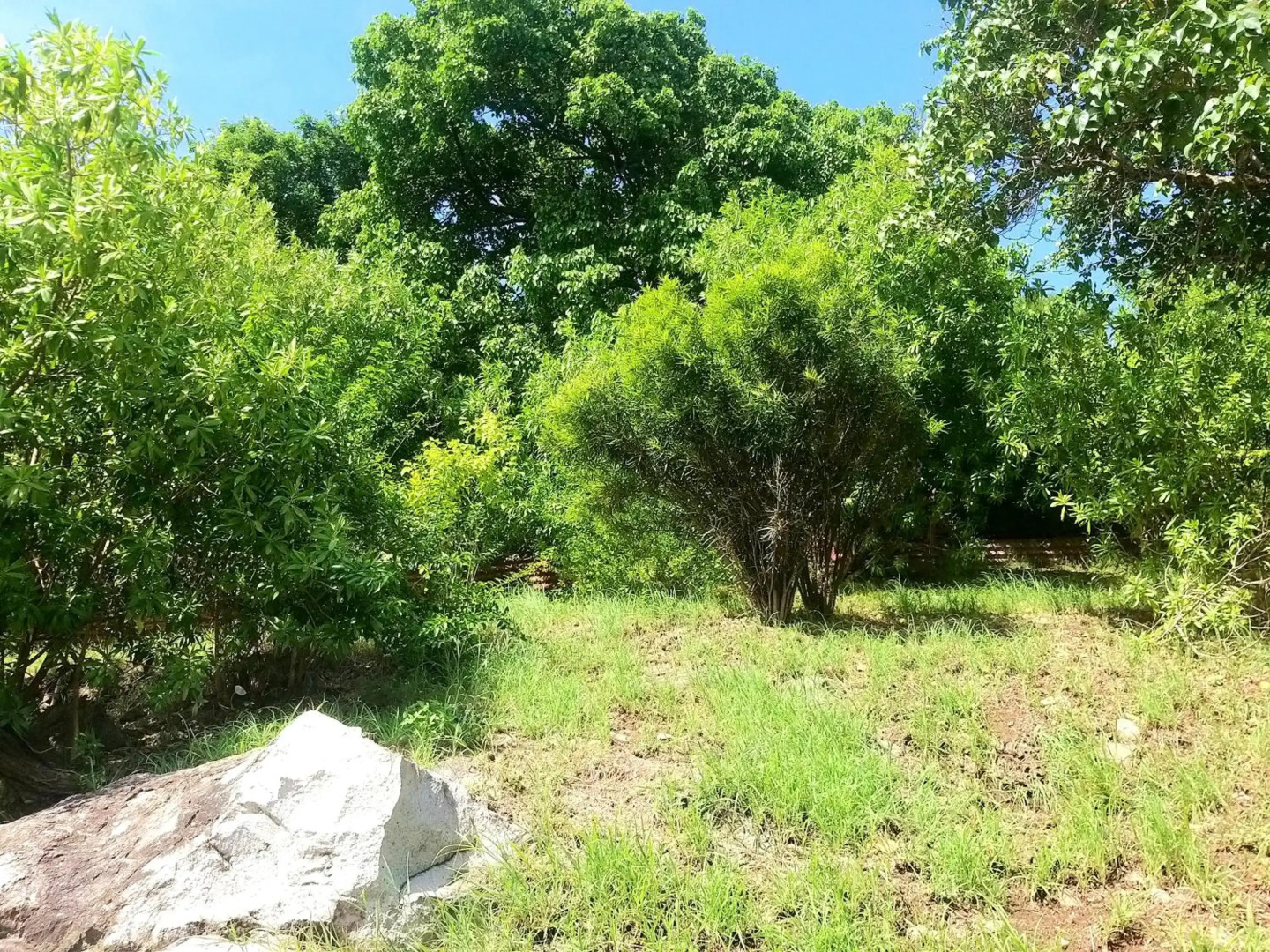 Villa CANA - Appartement 2 chambres avec SPA privatif