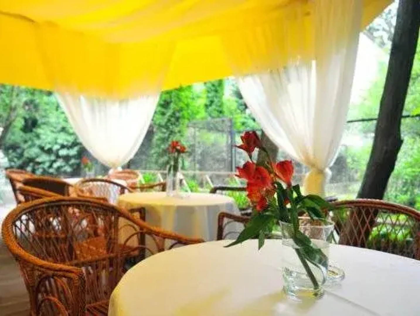 Отель Lion’s Castle