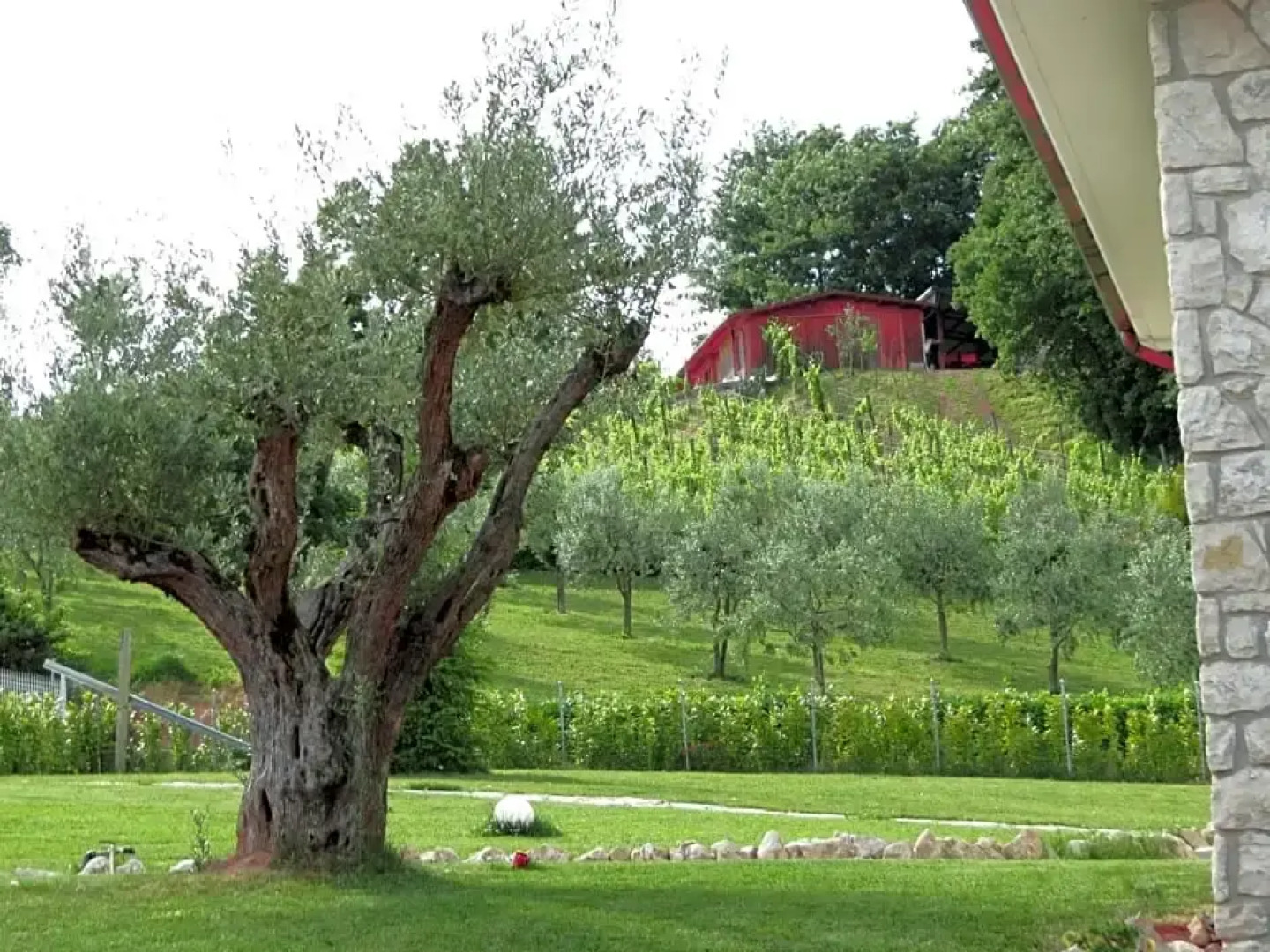 La Selva Incantata b&b