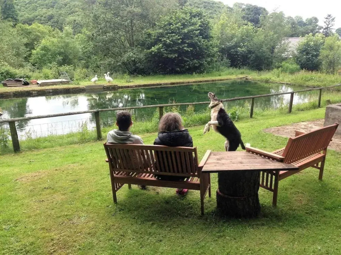 Relaxing Holidays in the Old Water Mill at Cwmiar
