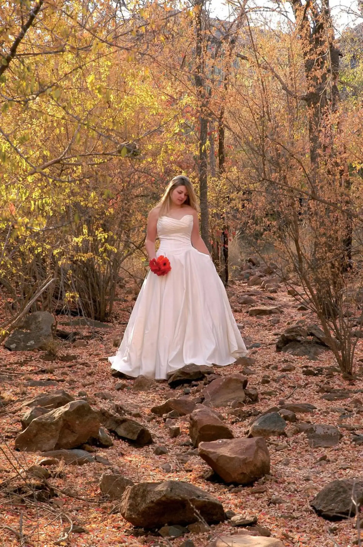 Kings Camp Private Game Reserve