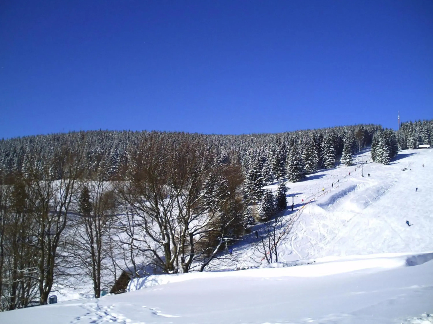 Rennsteighotel Grüner Baum