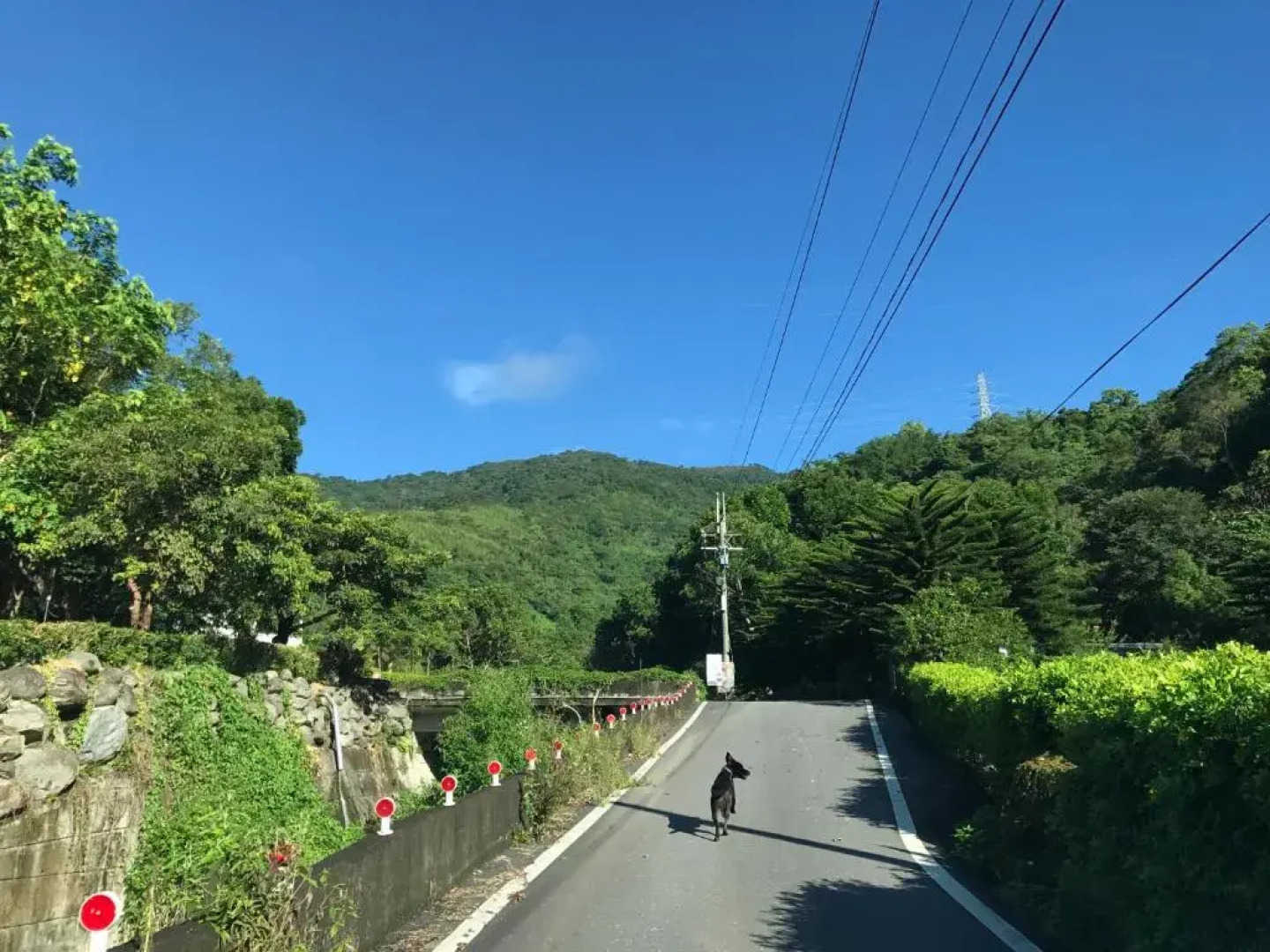 Wisdom Garden Home Stay