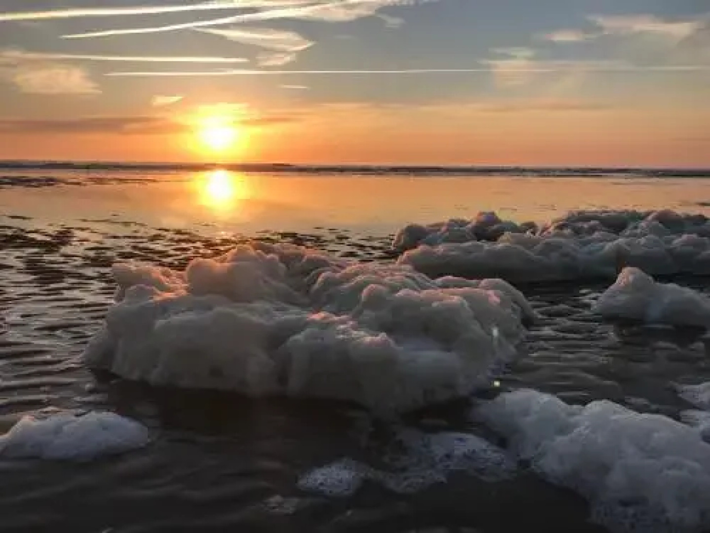 Appartement Beach House Le Grand Bleu