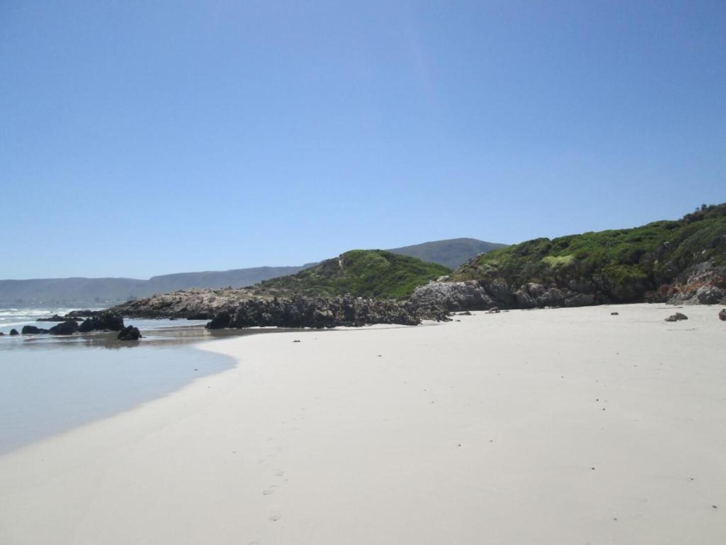 The Potting Shed Guest House