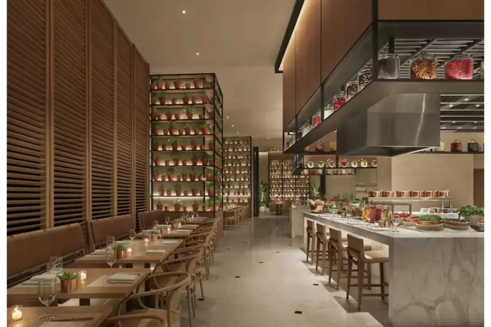 The Abu Dhabi Edition