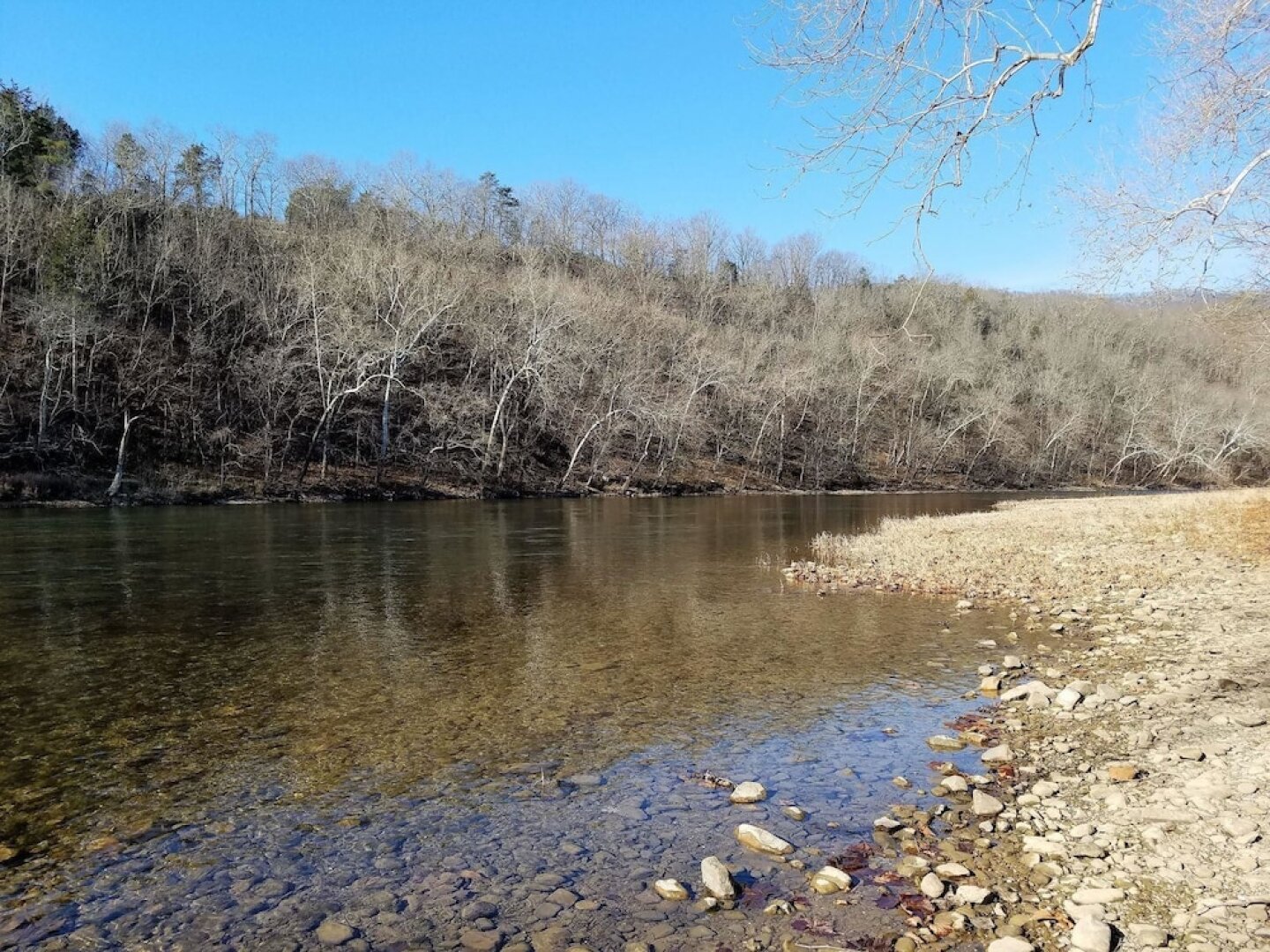 The Shuck- Christophers Riverside Cabin
