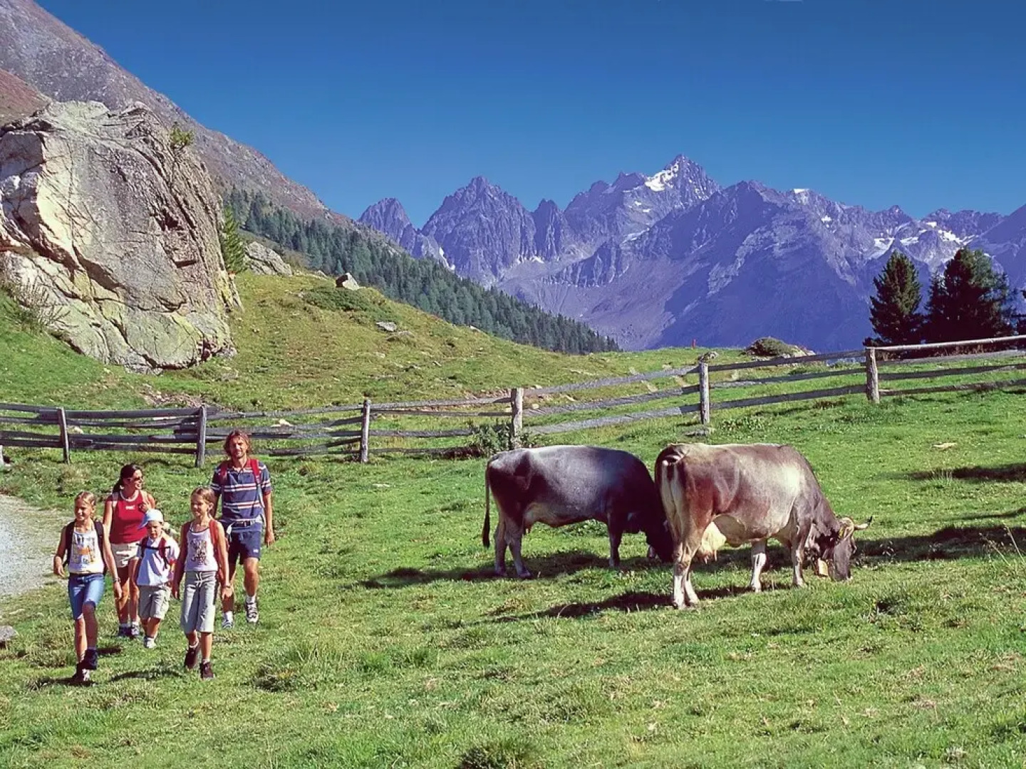 Plush Holiday Home in Pfunds With Sauna