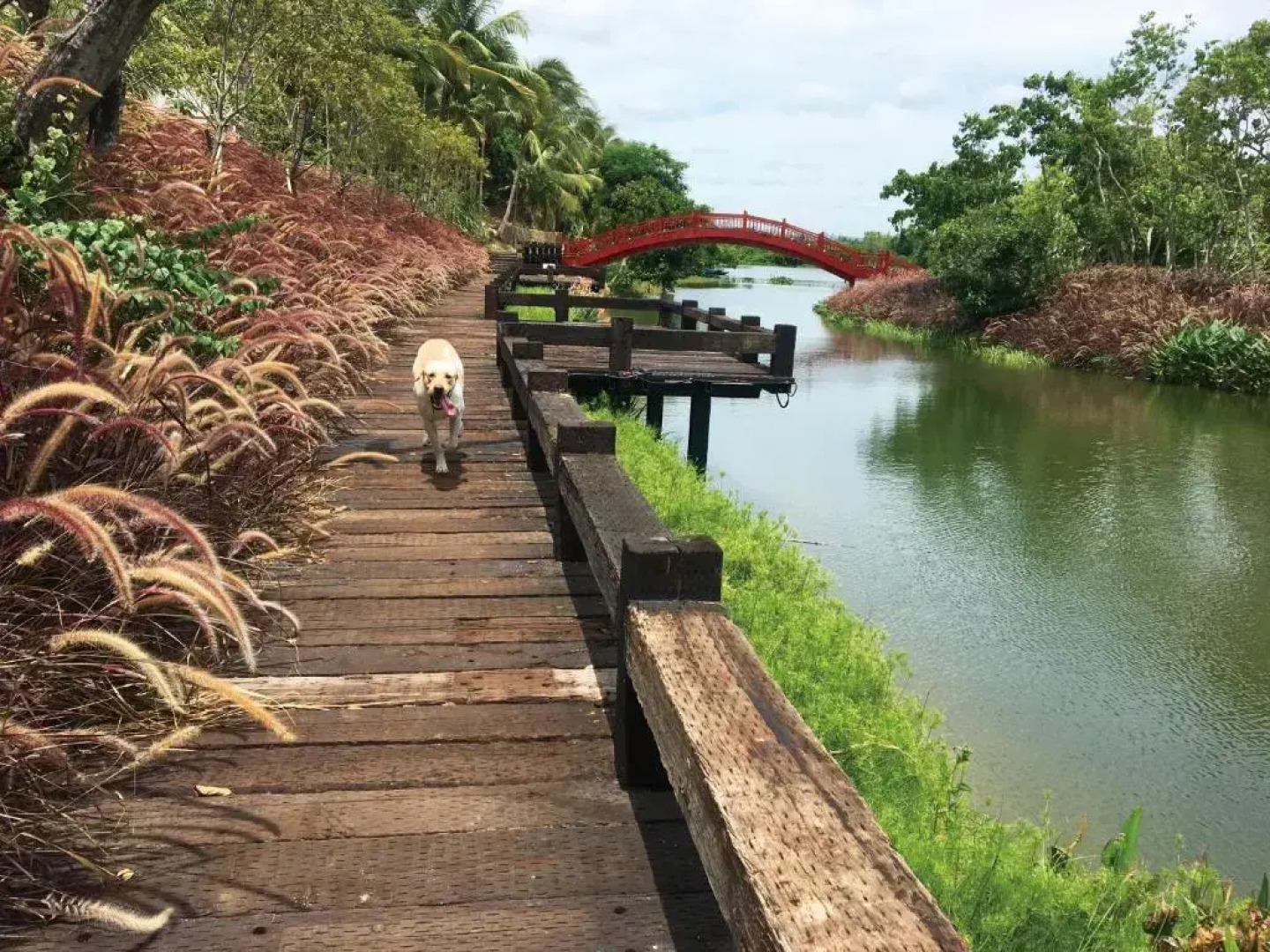 Boao Captain Vegetarian B&B