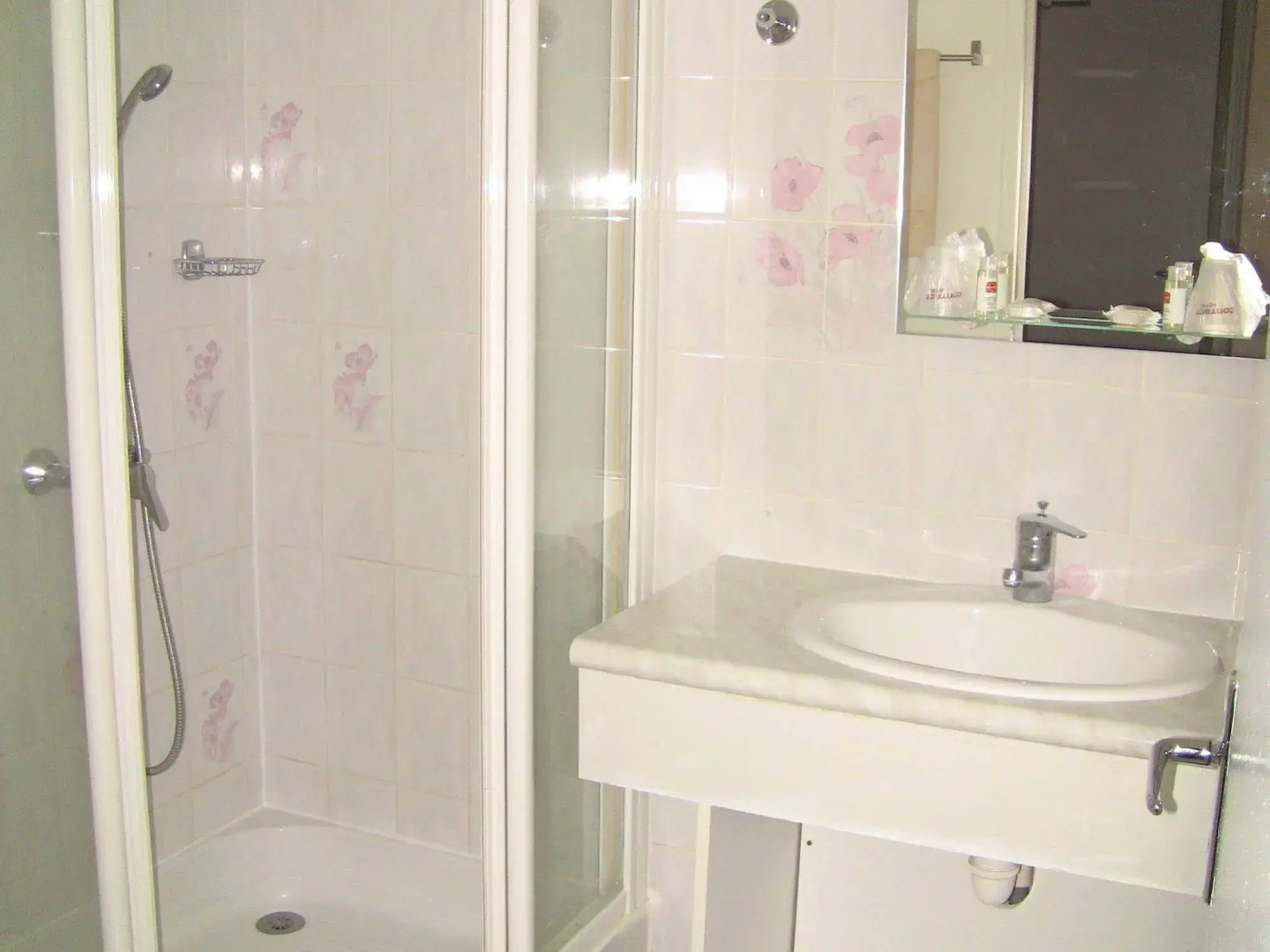 Hôtel du Cygne (Tours)