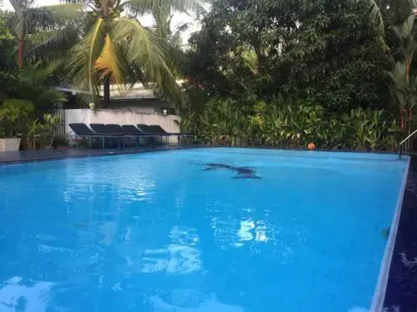 Vista Damith Guest House