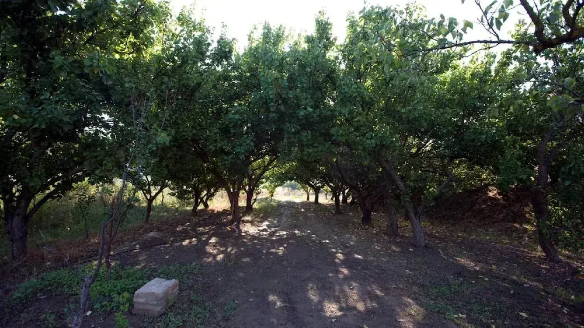 Resort Rural Vilar Riu de Baix