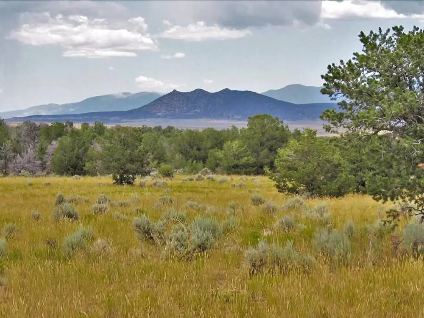 Cozy Knotty and Nice - Four Bedroom Cabin