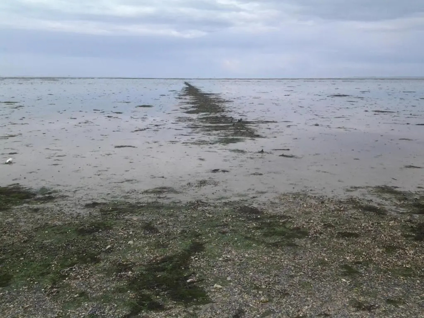 Bed & Breakfast Meinsma