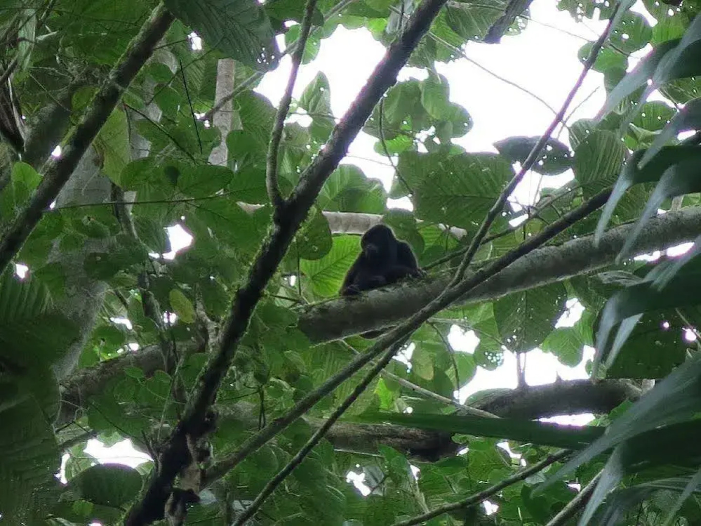 Samai Lodge Holistic Living