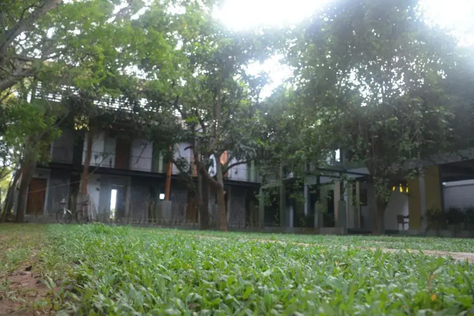 Royal Tusker Udawalawa