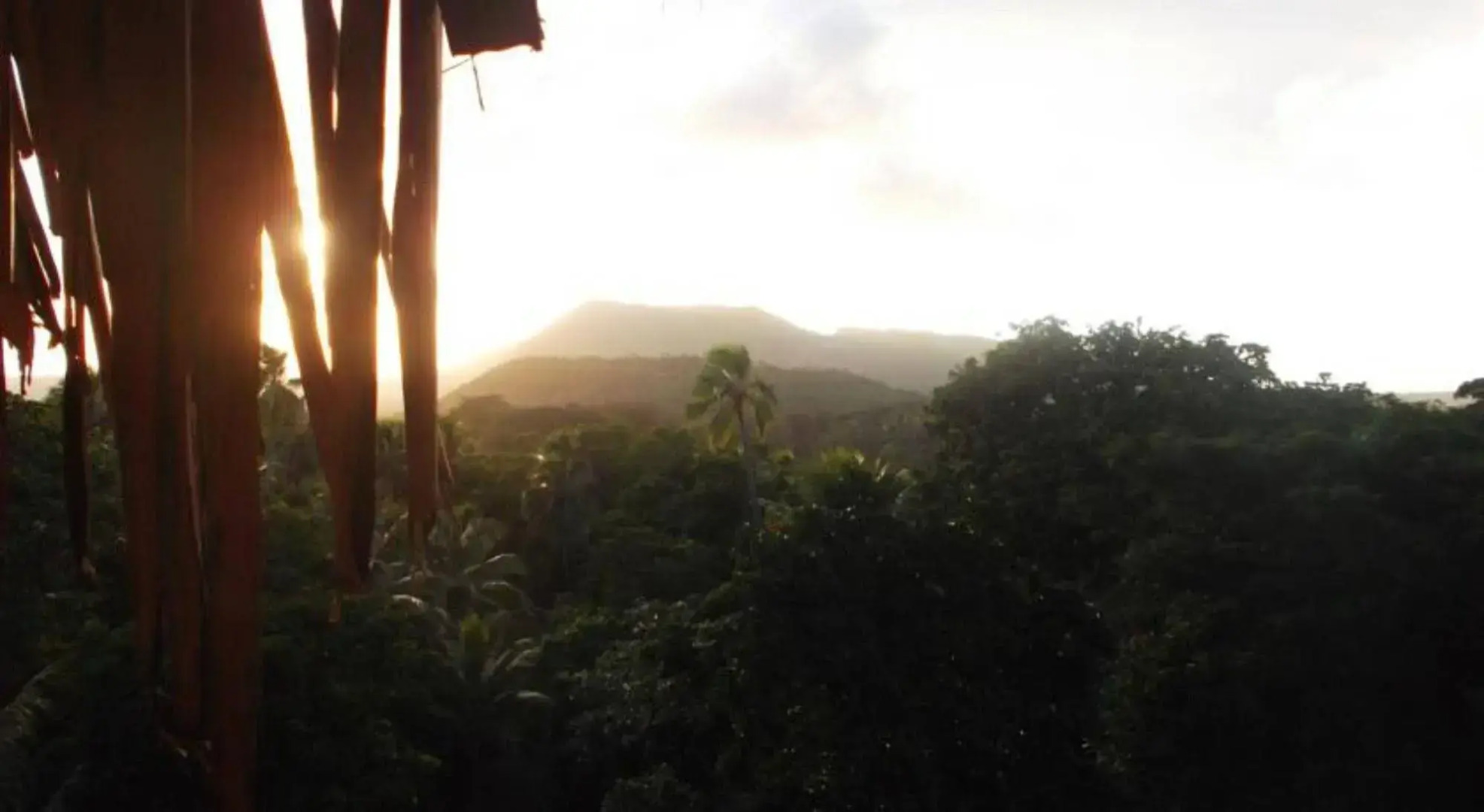 Tanna Lava View Bungalows