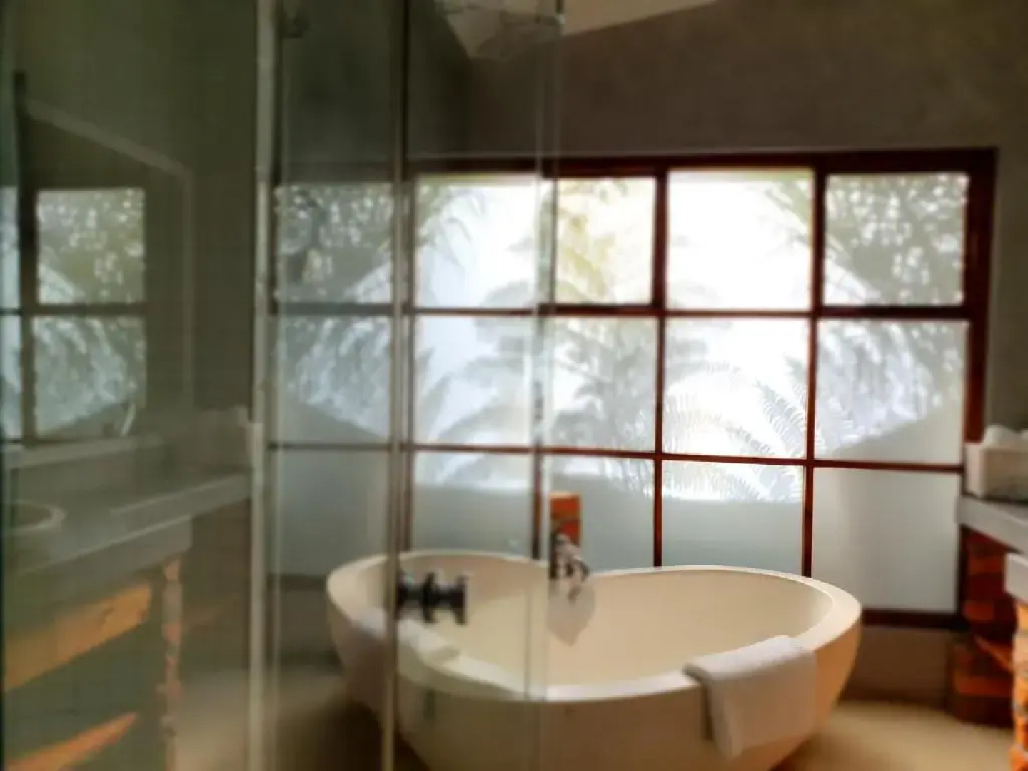 Two Fat Owls Guesthouse