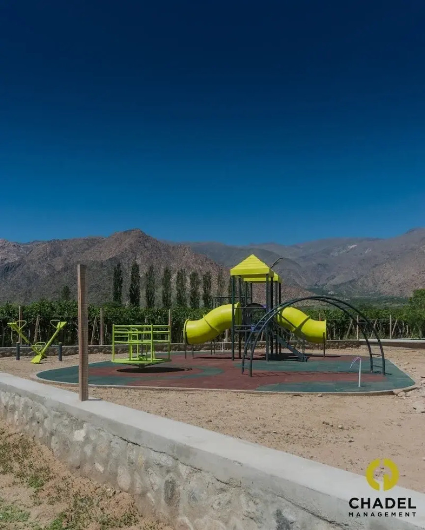 Buena Vid by Chadel Management