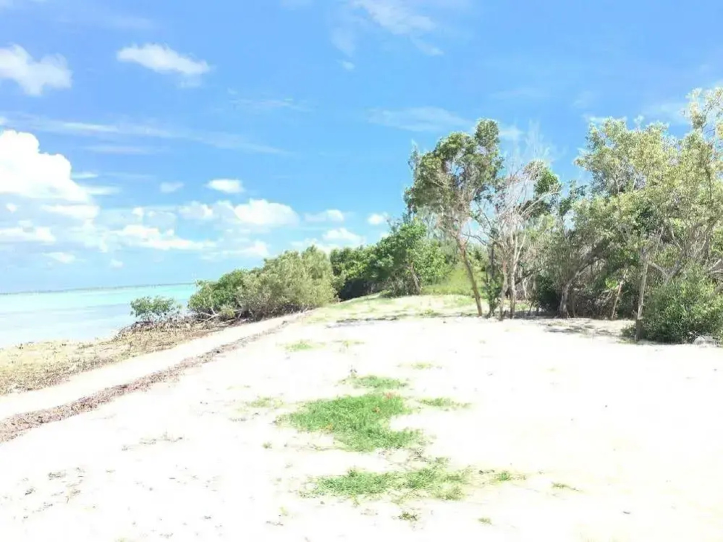 Mangrove Cay Sea View Villas