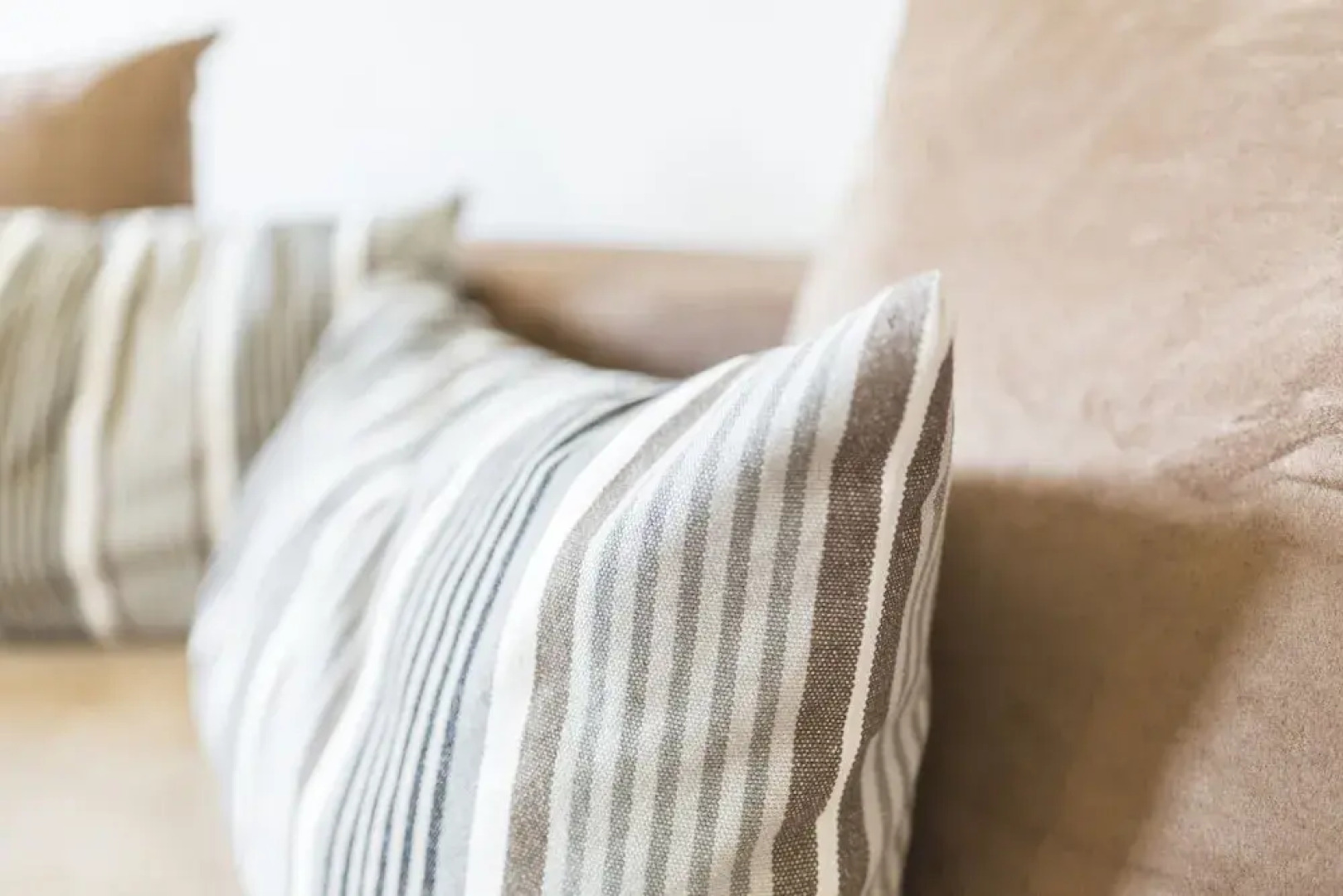 Kuckucksnester Menzenschwand (Vorderdorf)