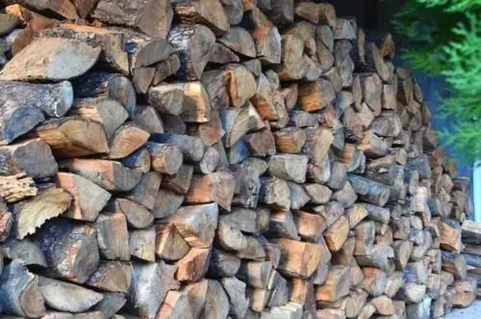 Lodge Las Trancas - Hostel