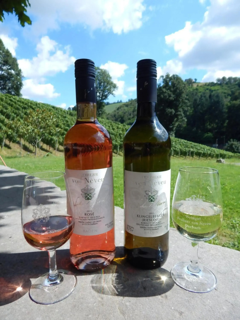 Wein Lodge Durbach - Schlossblick