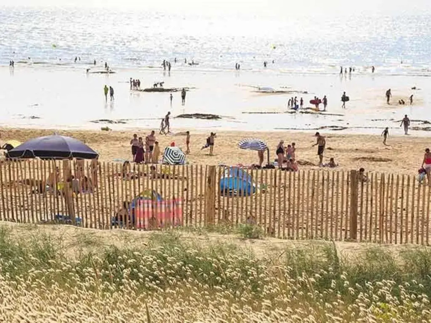 Maison Donville-les-Bains, 4 pièces, 7 personnes - FR-1-361-425