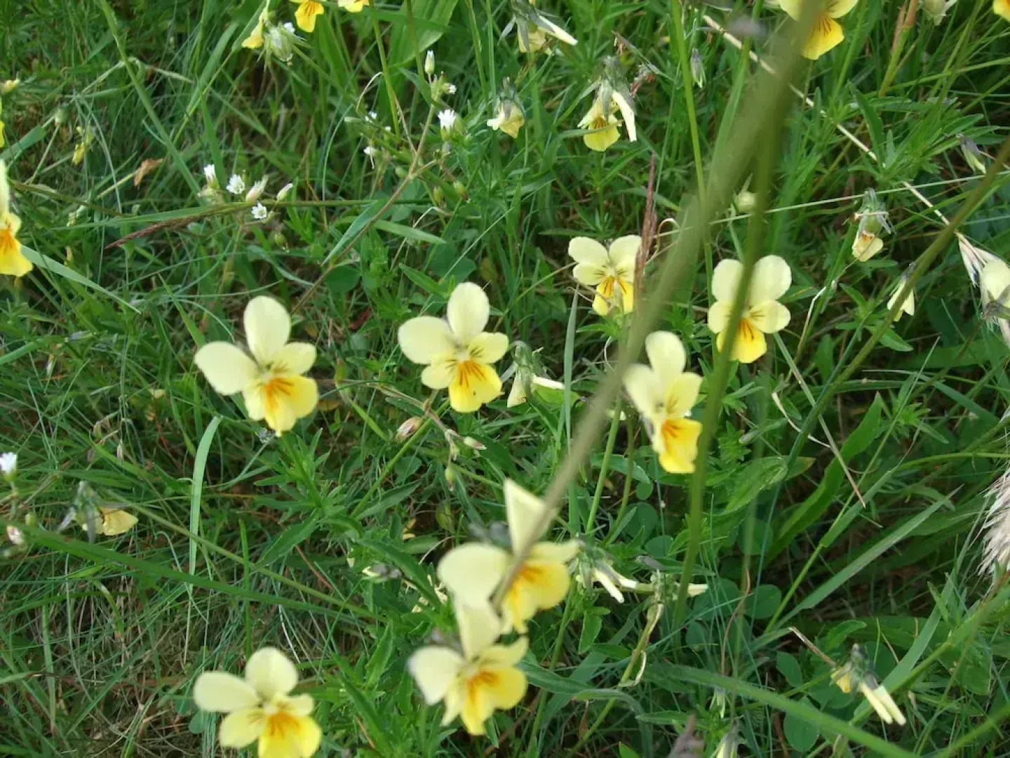 Parkhotel Hammerberg