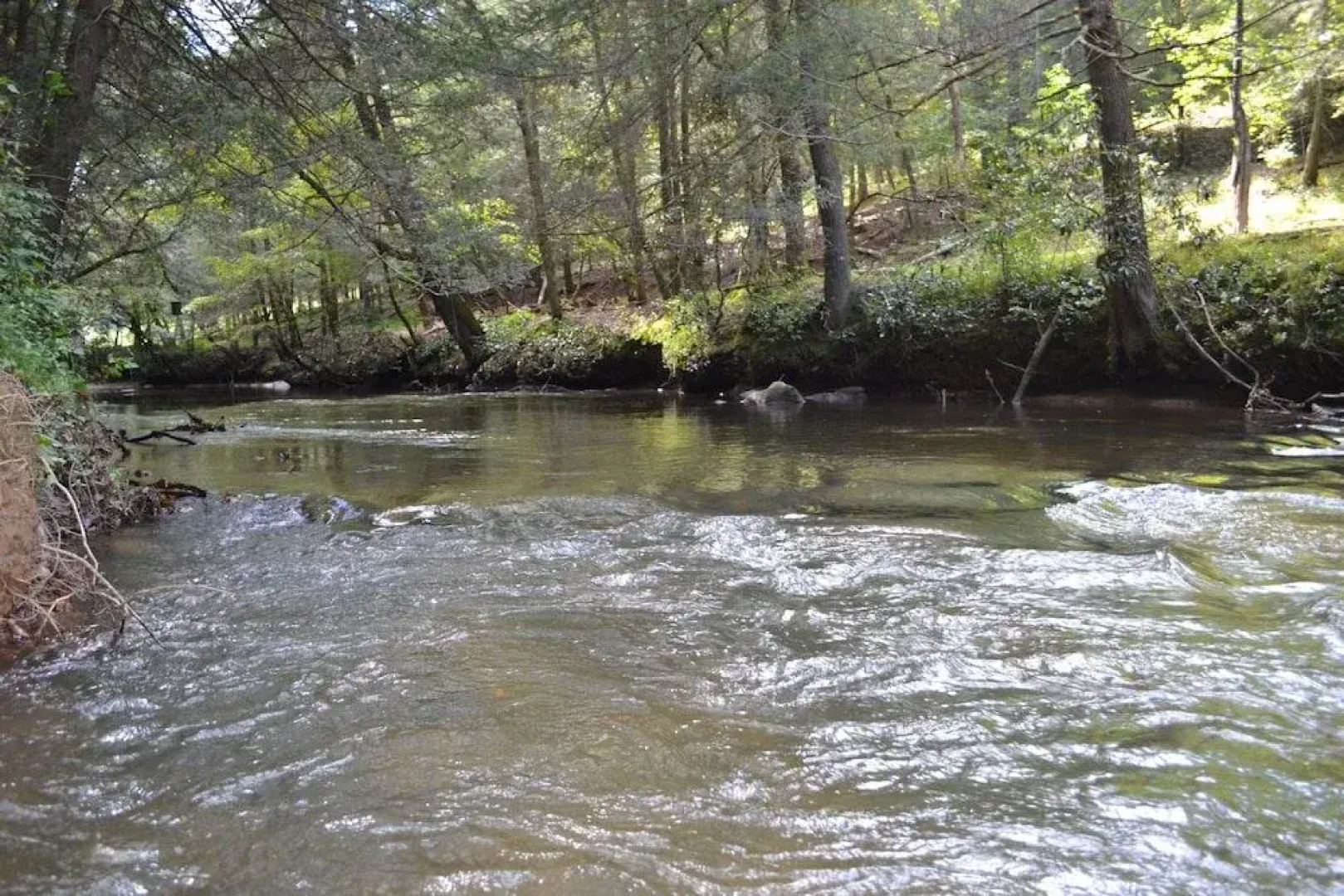 Dancing Waters- Fightingtown Creek Frontage
