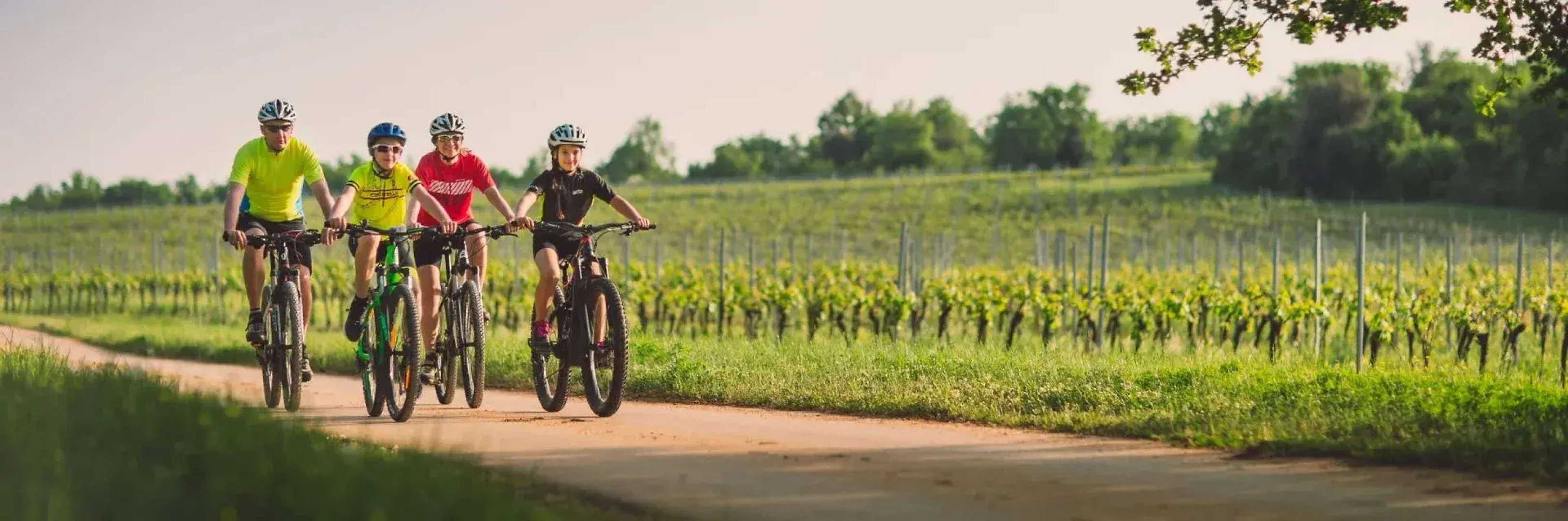 Maistra Select Funtana All Inclusive Resort