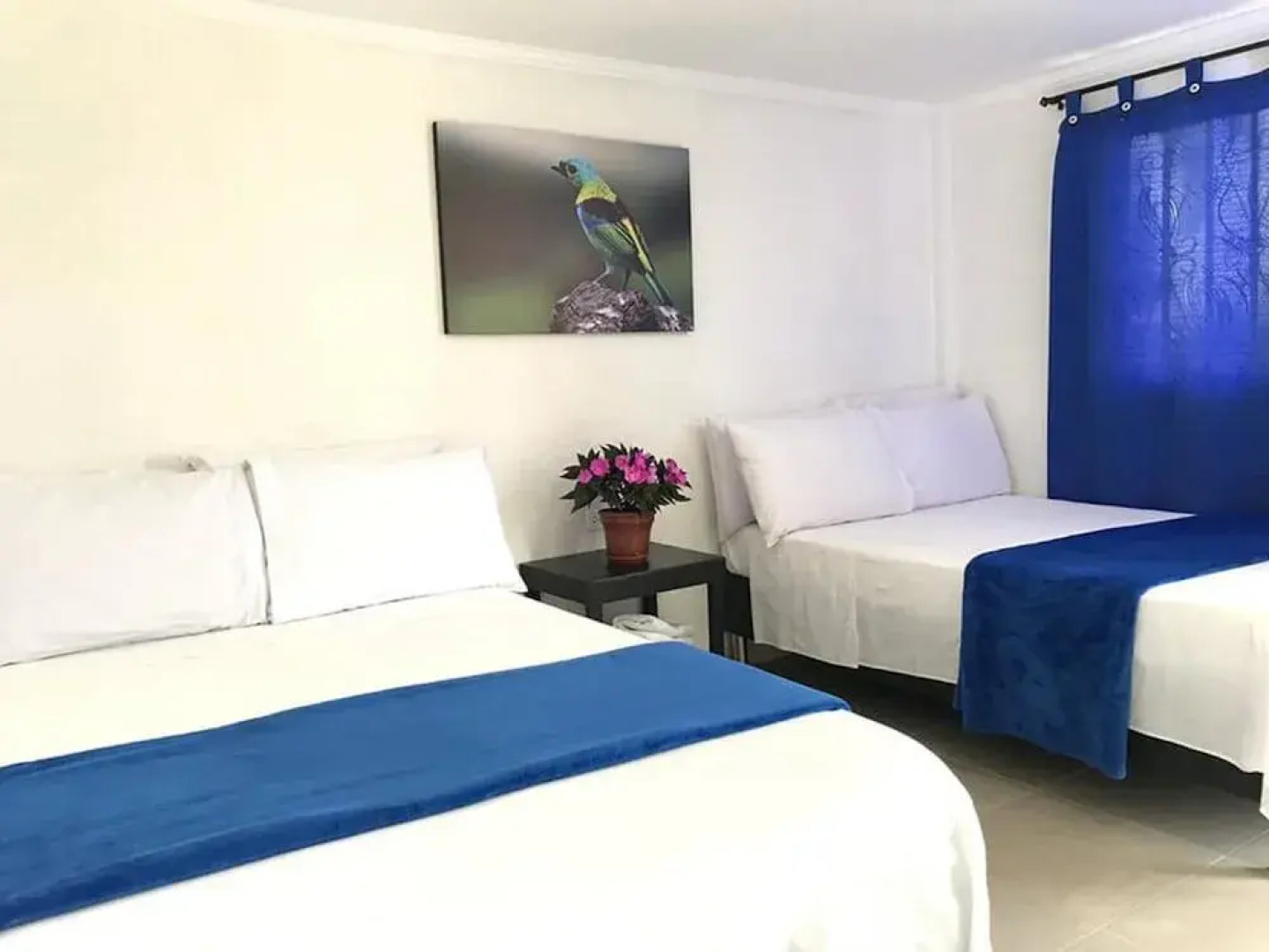 Finca Hotel La Marina