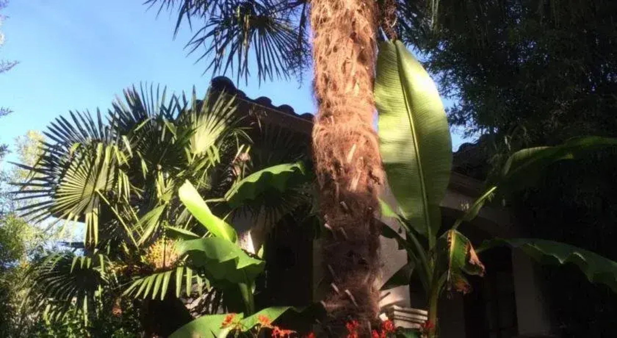 The Guesthouse Tropical Villa HI