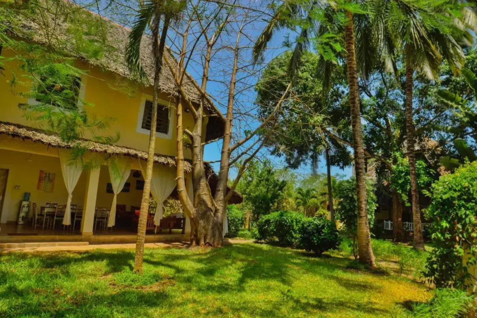 Upani in Daini