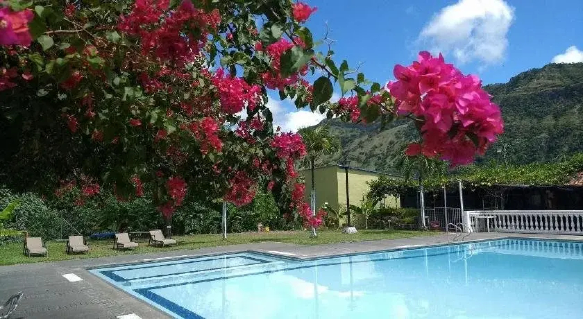 Meson Hondano