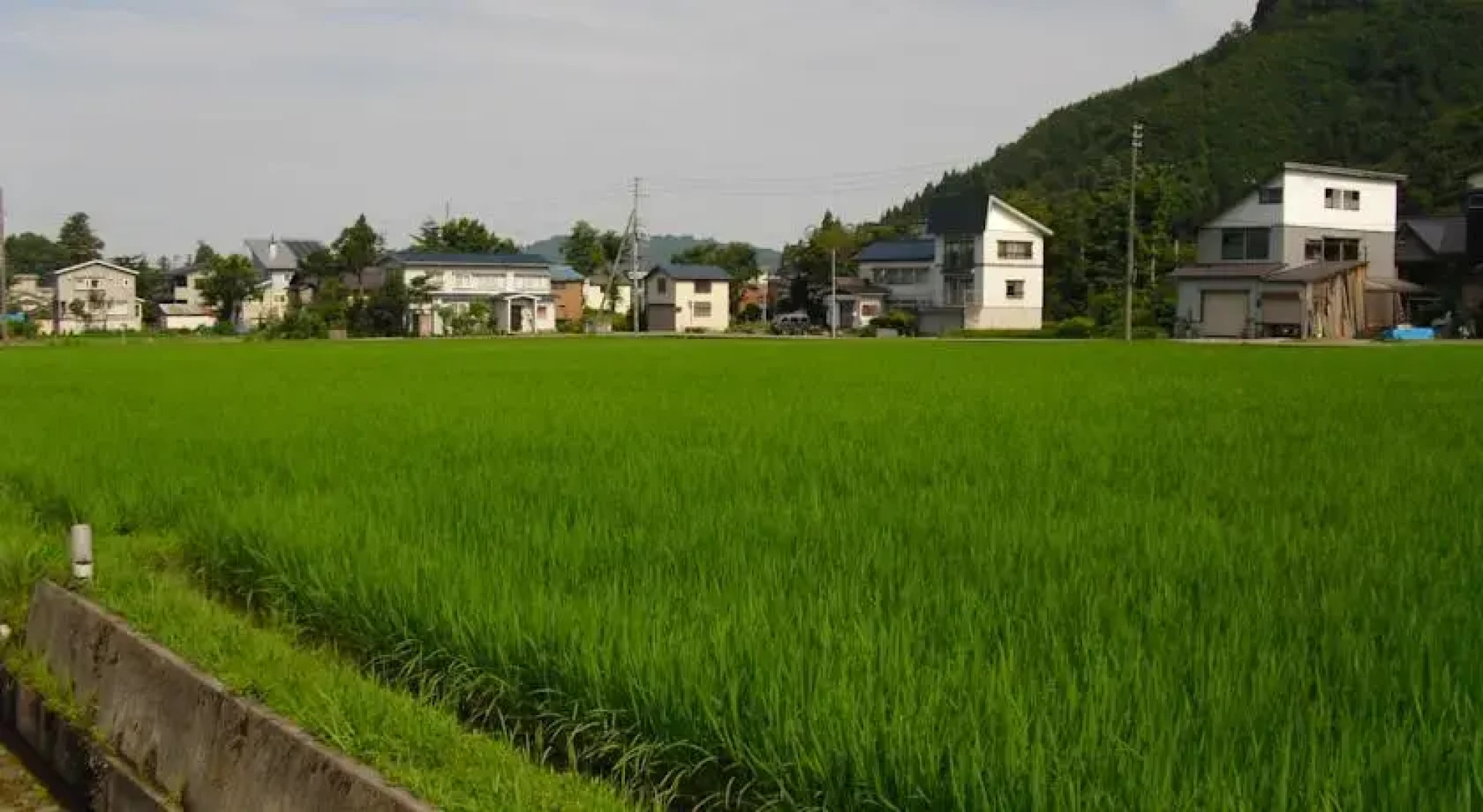Minshuku Ryokan Genjirou