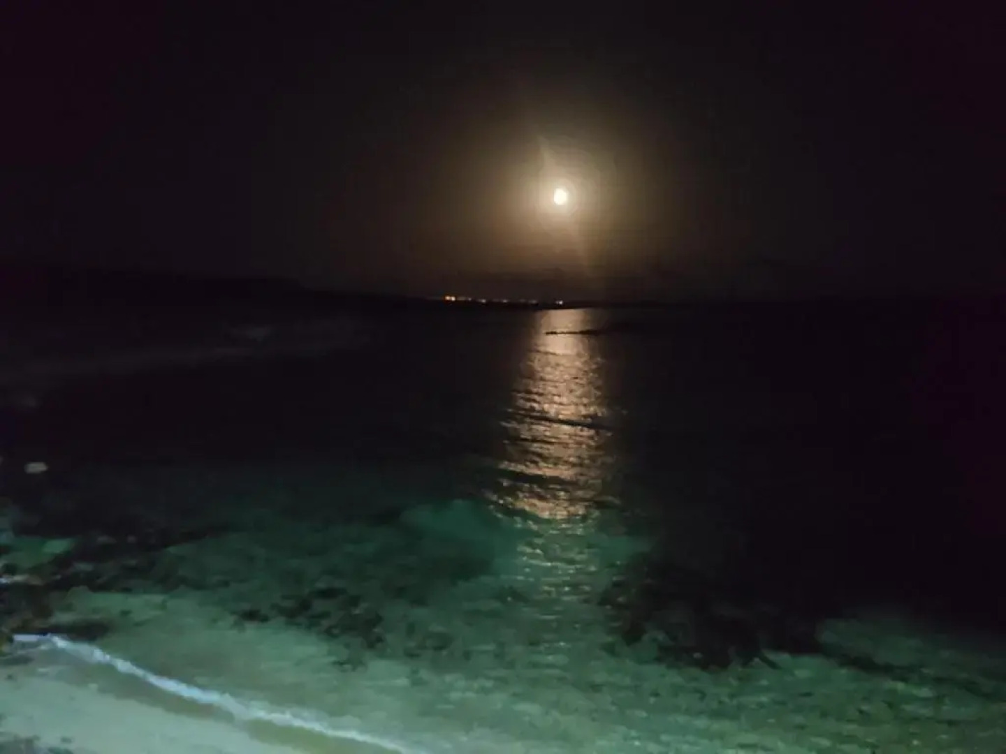 Oasi̇S At Ayfi̇Lon