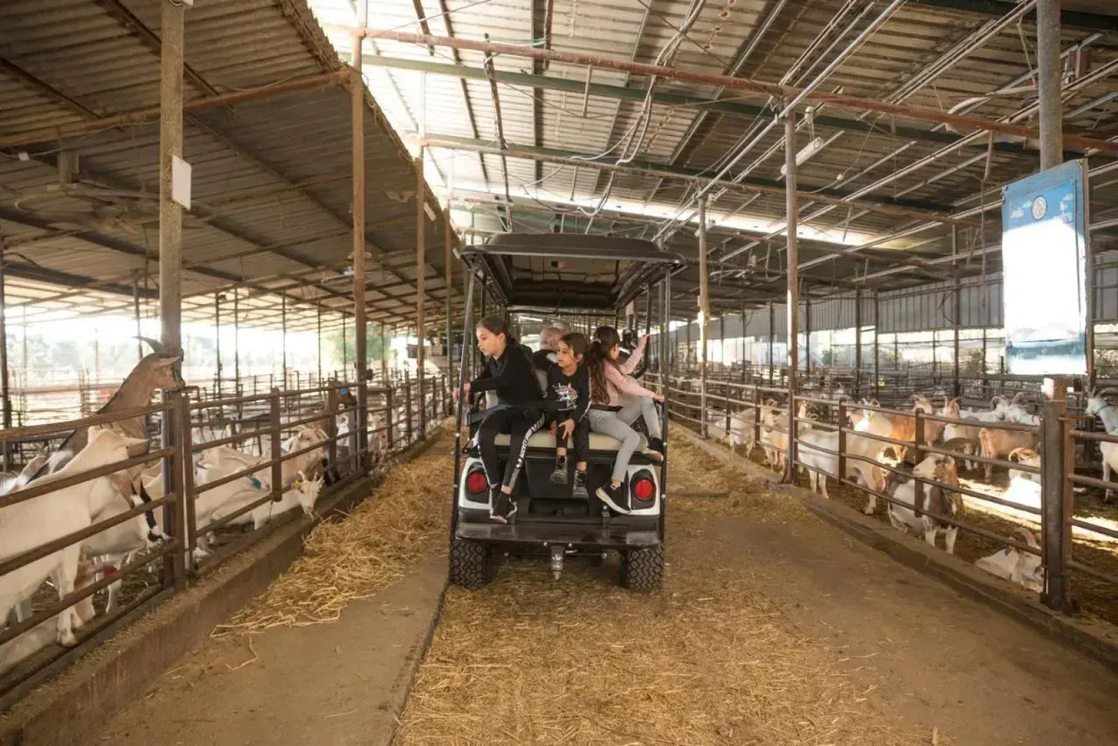 Bar-On Vacation Resort - Health, Nature, Culture, Tours & Tastes in the Village